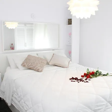 Apartment Shiny Per Family *