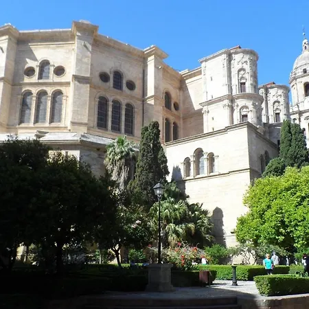 Shiny Per Family * Malaga